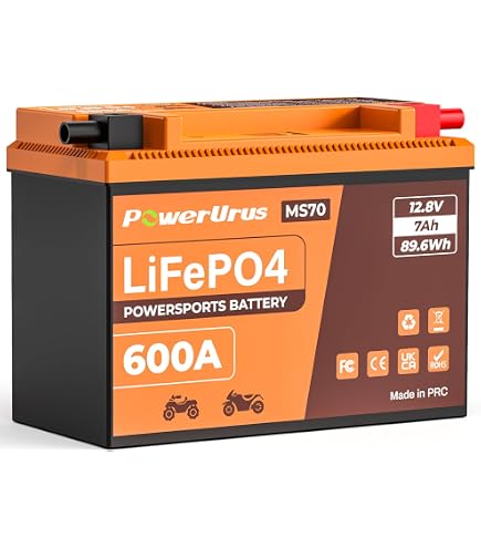 Amazon | SHORAI LFX バッテリー LFX14A2-BS12 | バイクバッテリー